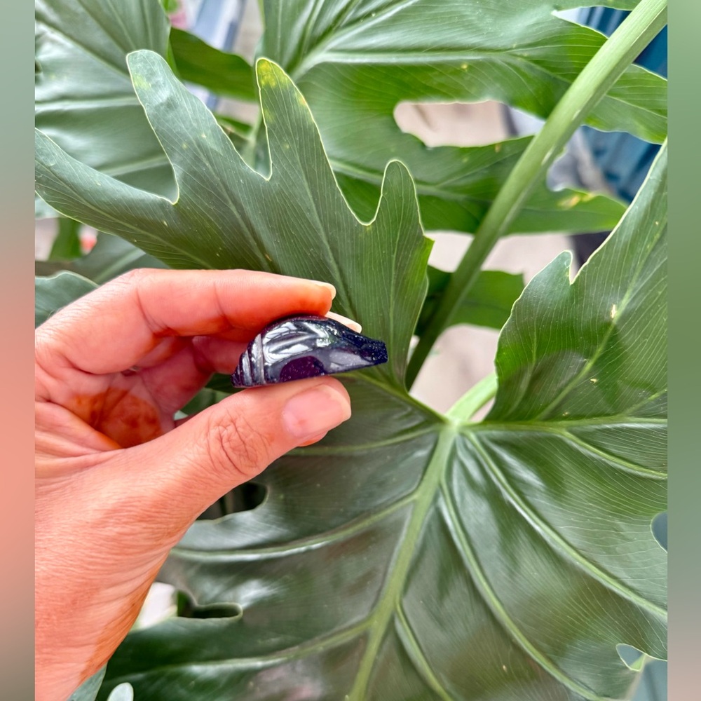 Blue Goldstone Seashell | Ambition, Protection & Cosmic Energy - Picture 3 of 4